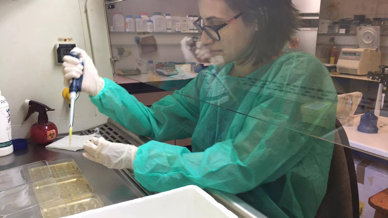 Woman working in a lab